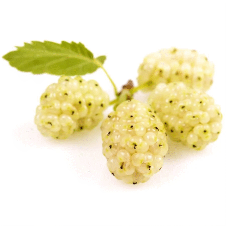 Mulberry (Autralian White)