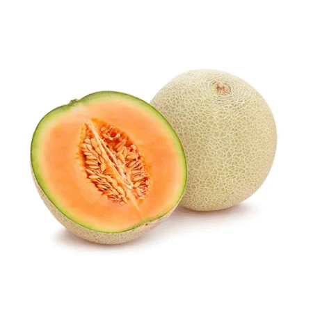 Melon (Kharbuza)